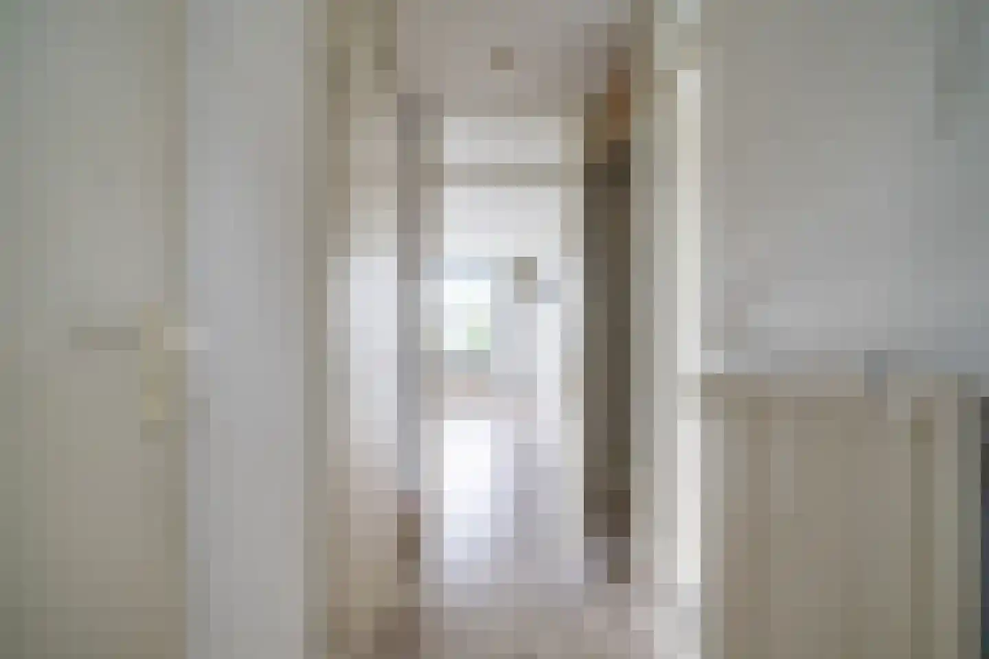 Veenbes 93 Leiden thumbnail 14