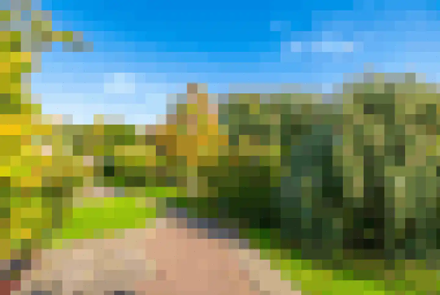 Veenbes 93 Leiden thumbnail 16