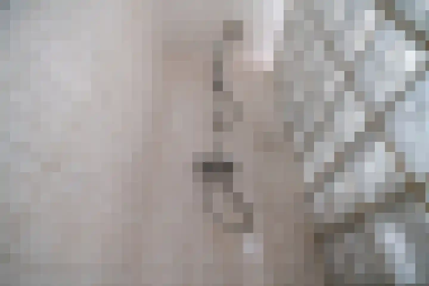 Veenbes 93 Leiden thumbnail 20