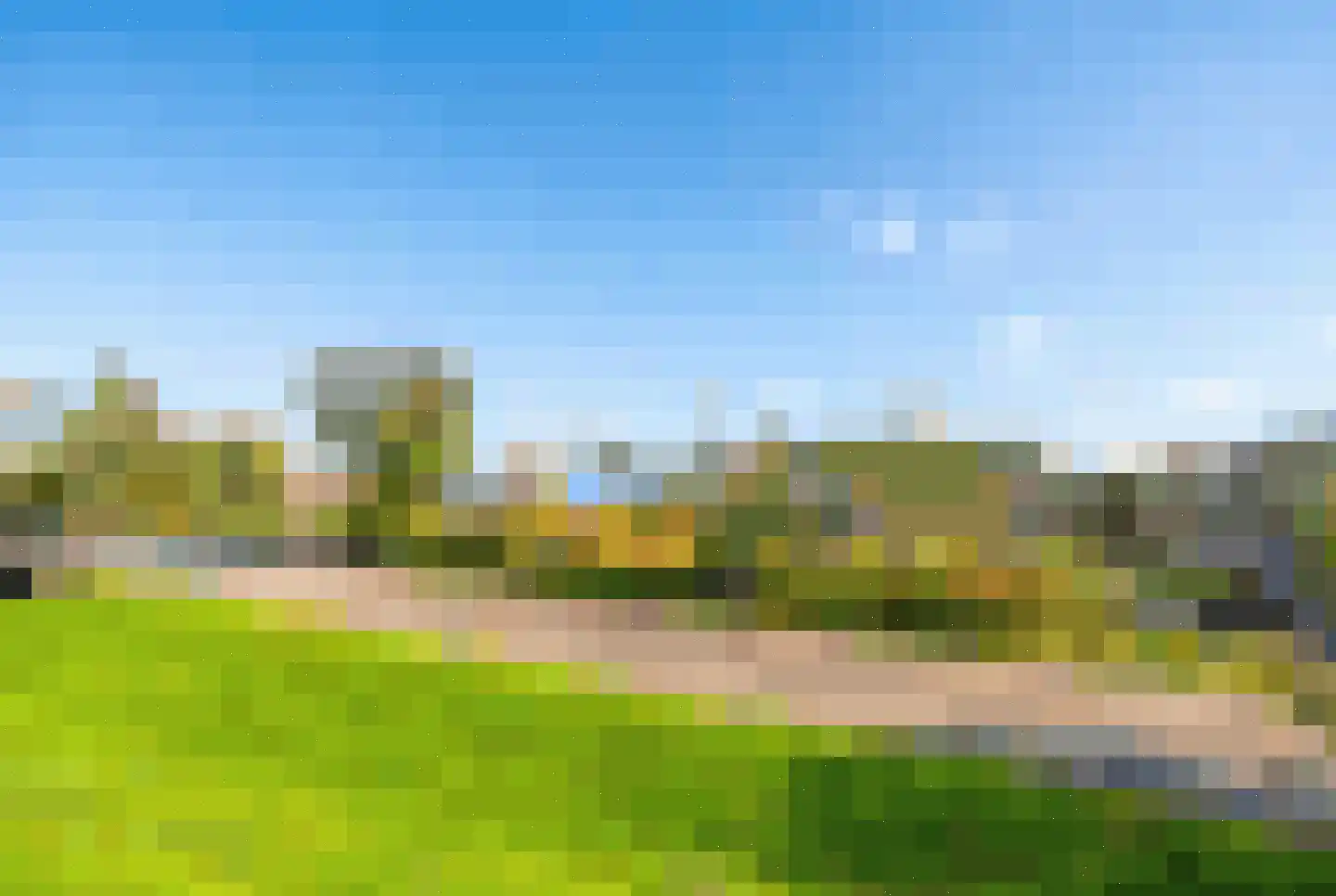 Veenbes 93 Leiden thumbnail 24