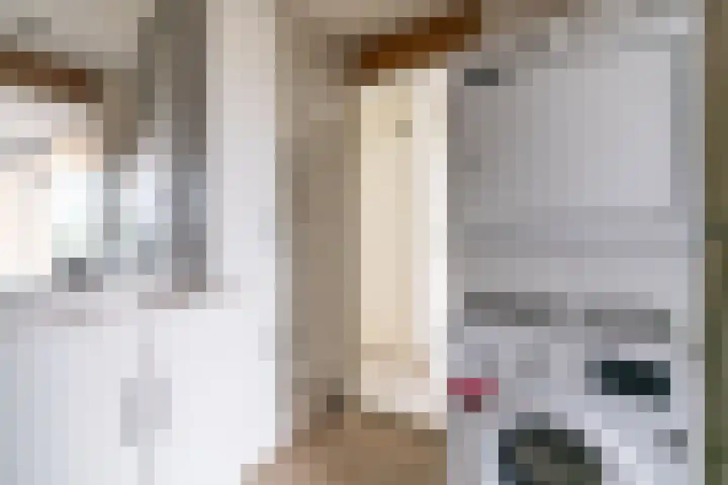 Veenbes 93 Leiden thumbnail 27