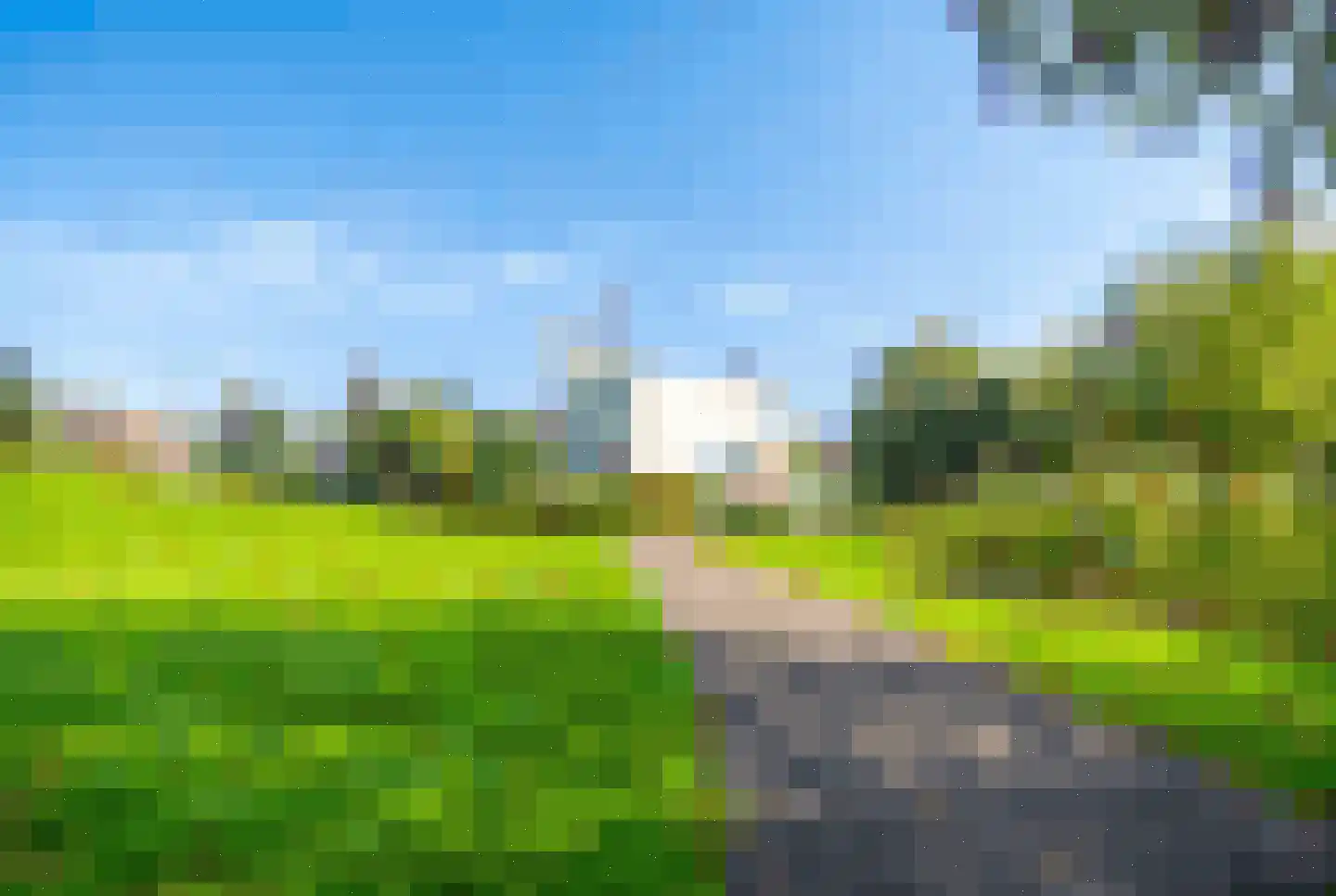 Veenbes 93 Leiden thumbnail 35