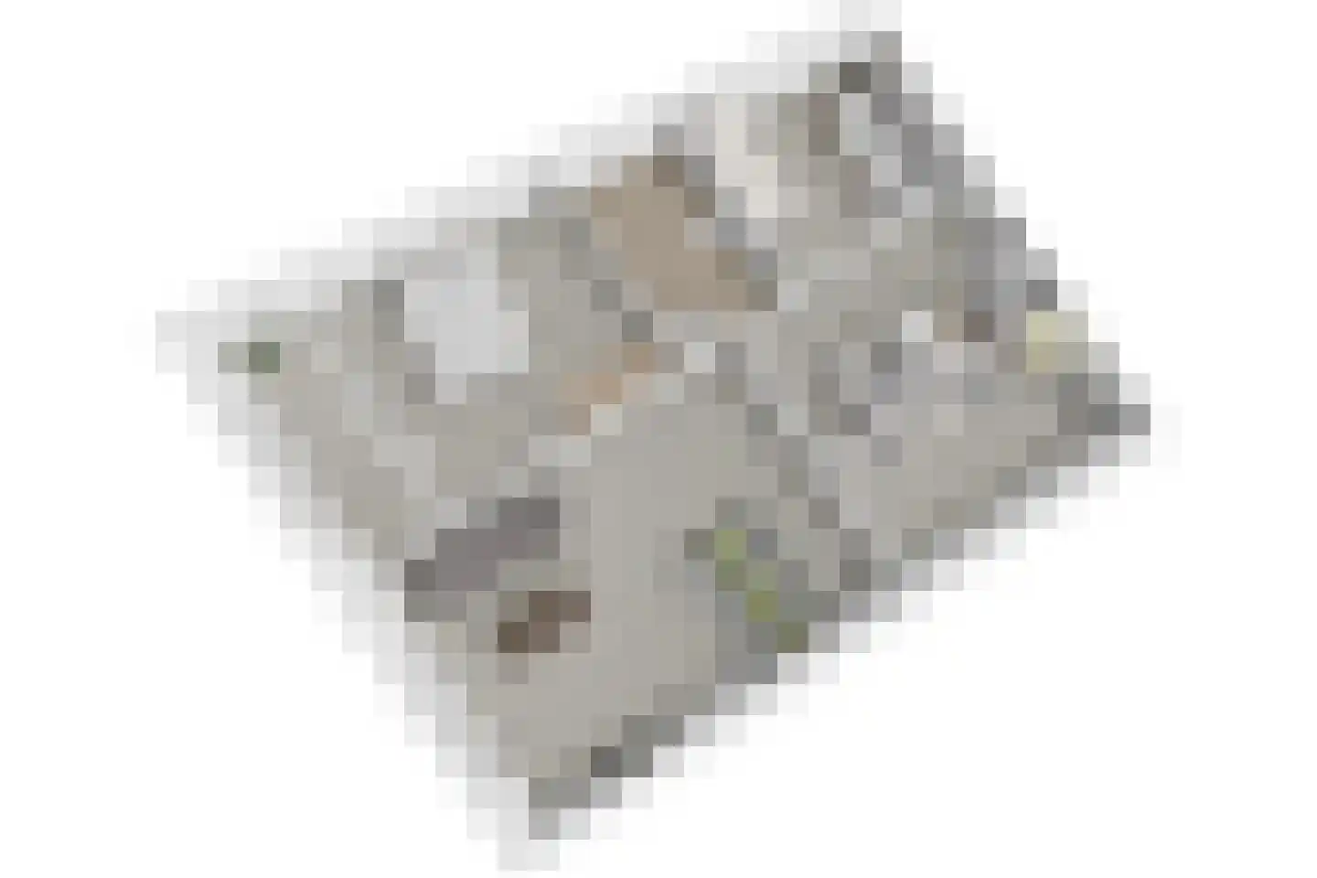 Veenbes 93 Leiden thumbnail 36