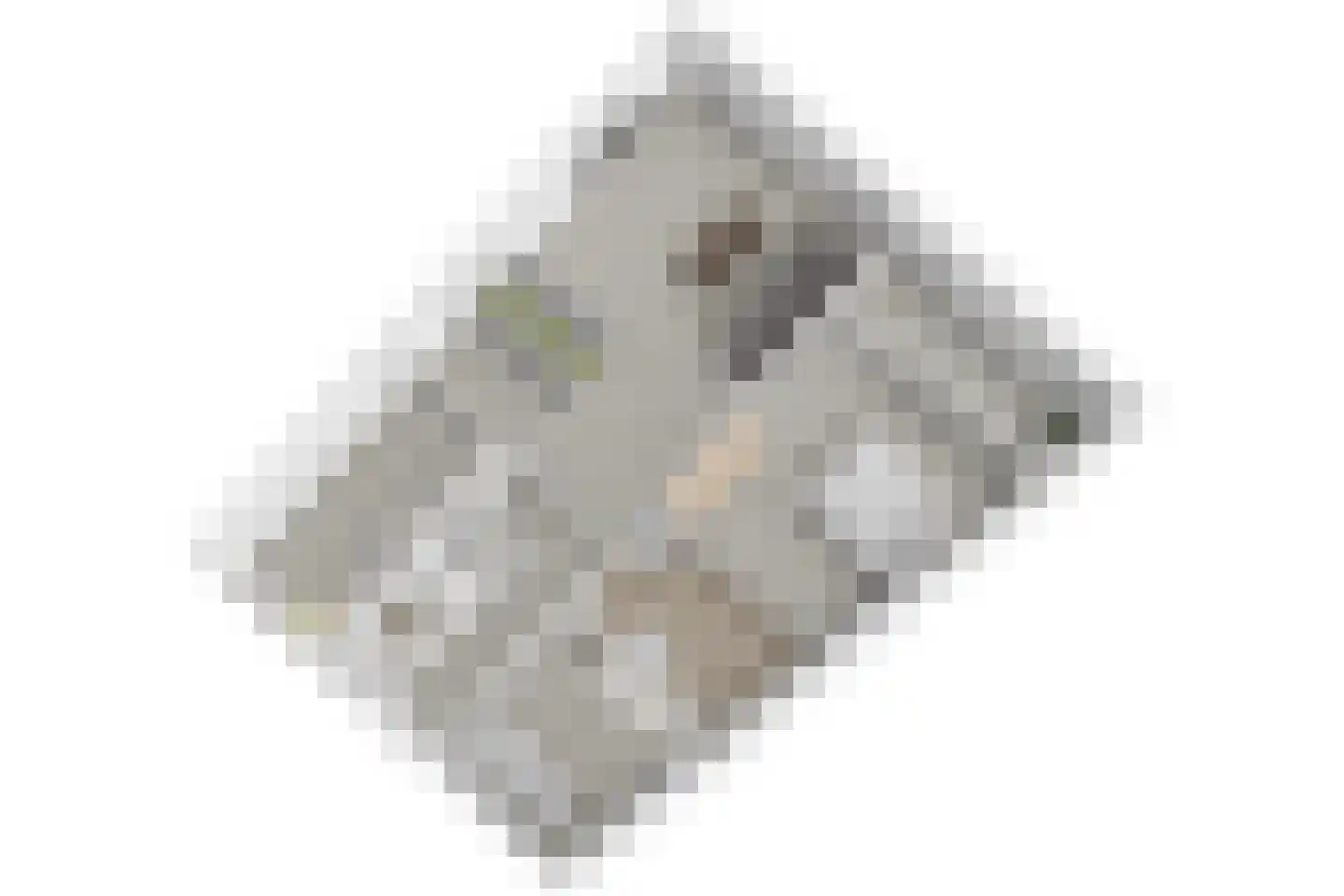 Veenbes 93 Leiden thumbnail 37