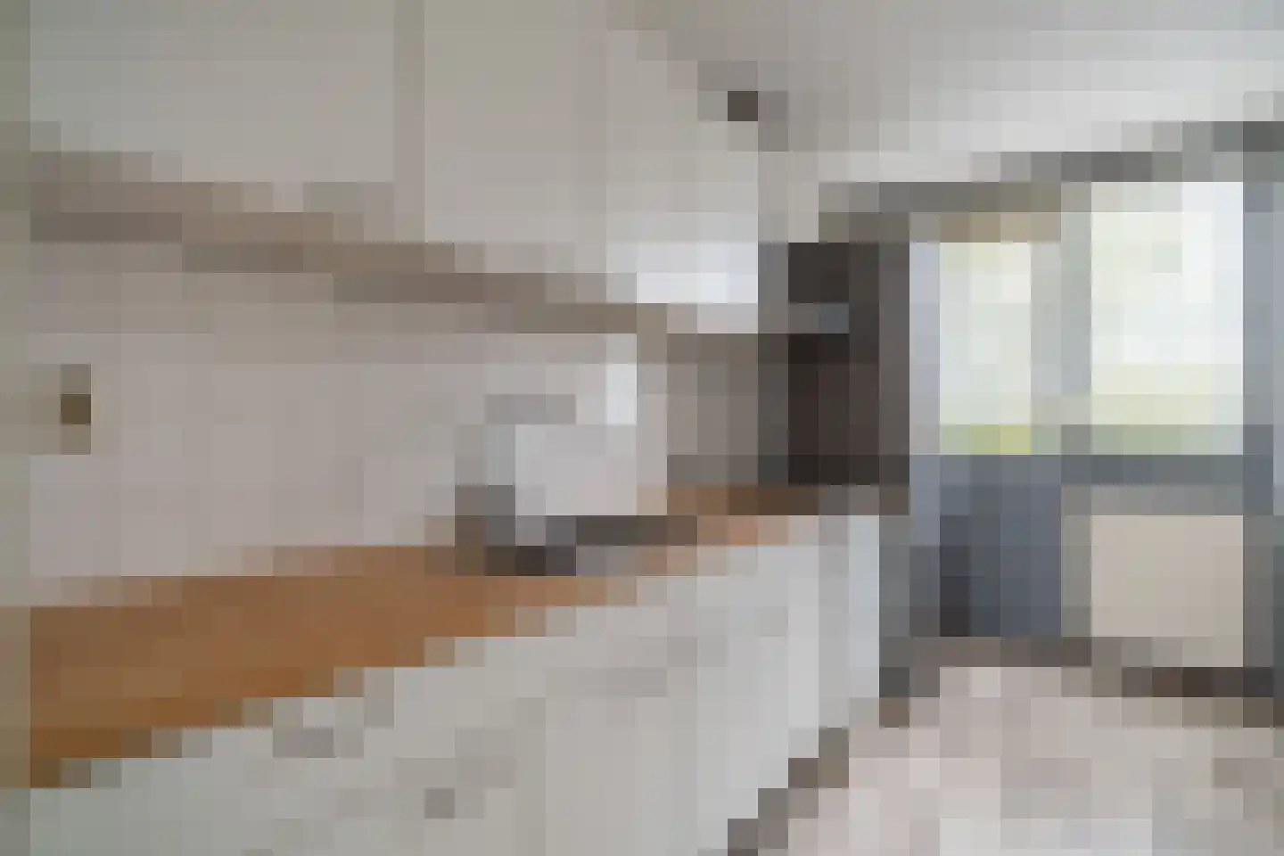 Veenbes 93 Leiden thumbnail 4