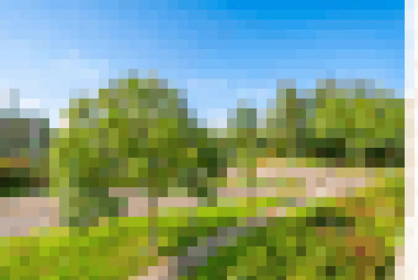 Veenbes 93 Leiden thumbnail 5