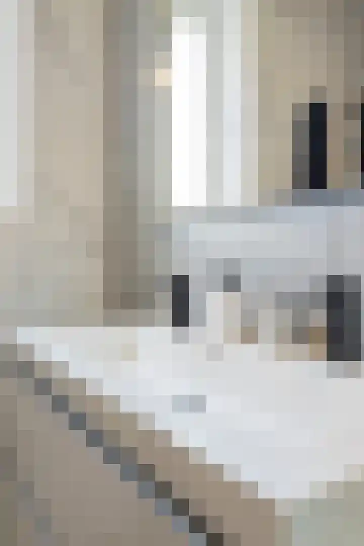 Veenbesstraat 1 Amsterdam thumbnail 18