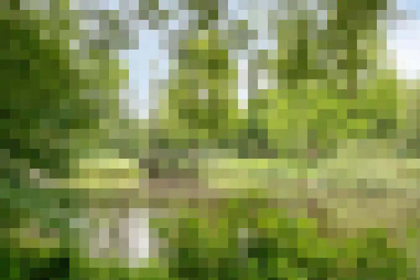 Veenbesstraat 124 Soest thumbnail 28