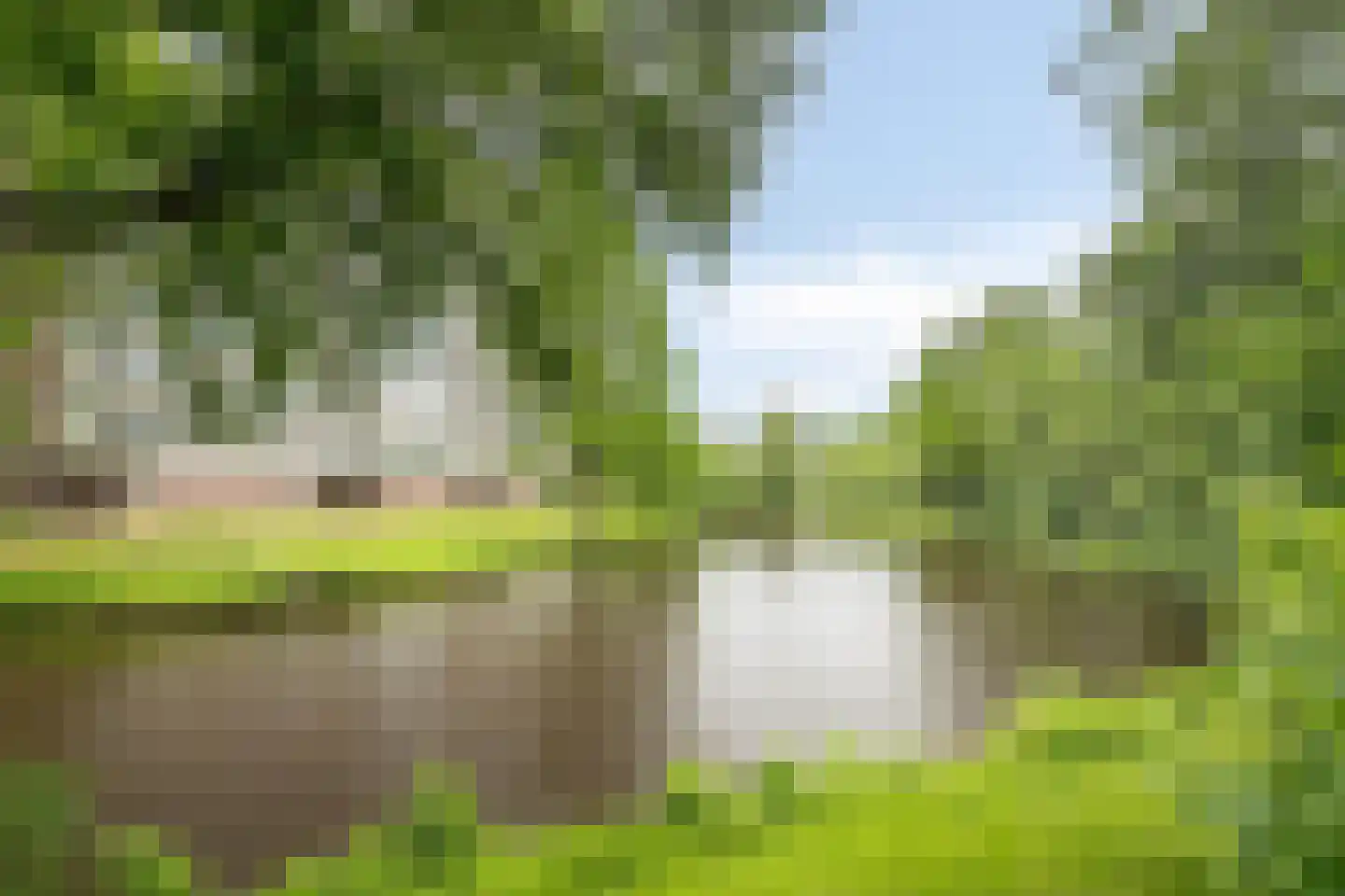 Veenbesstraat 124 Soest thumbnail 29
