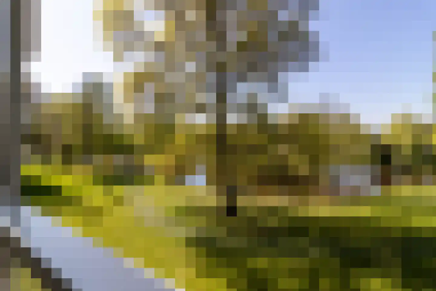 Veenbesstraat 130 Soest thumbnail 16