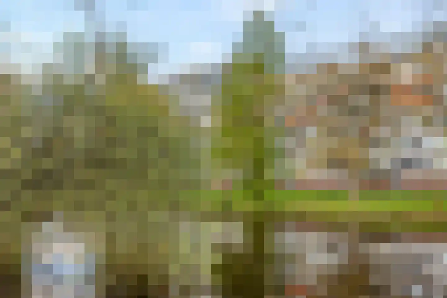 Veenbesstraat 240 Soest thumbnail 19