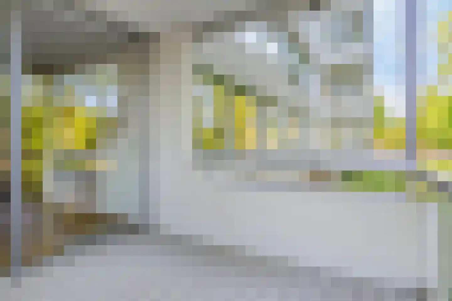 Veenbesstraat 244 Soest thumbnail 26