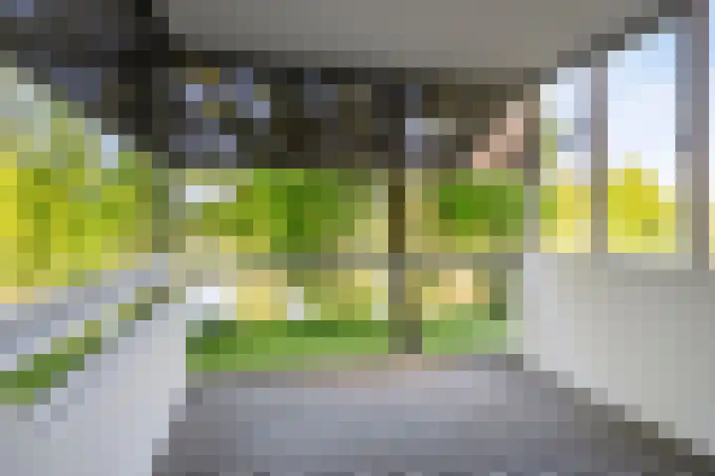 Veenbesstraat 244 Soest thumbnail 27
