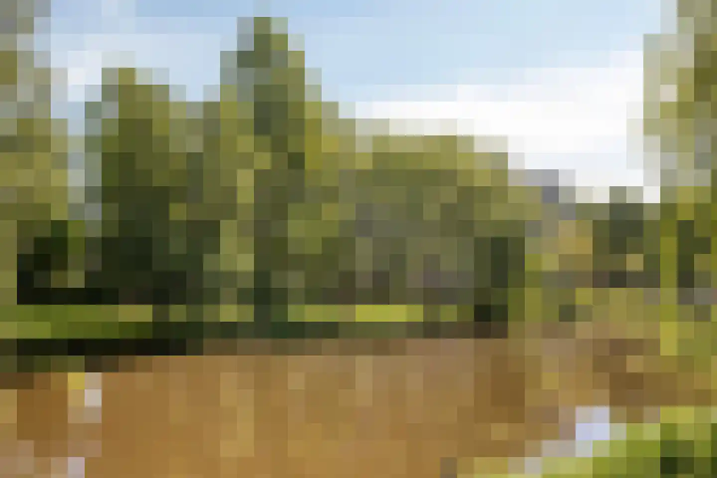 Veenbesstraat 244 Soest thumbnail 38