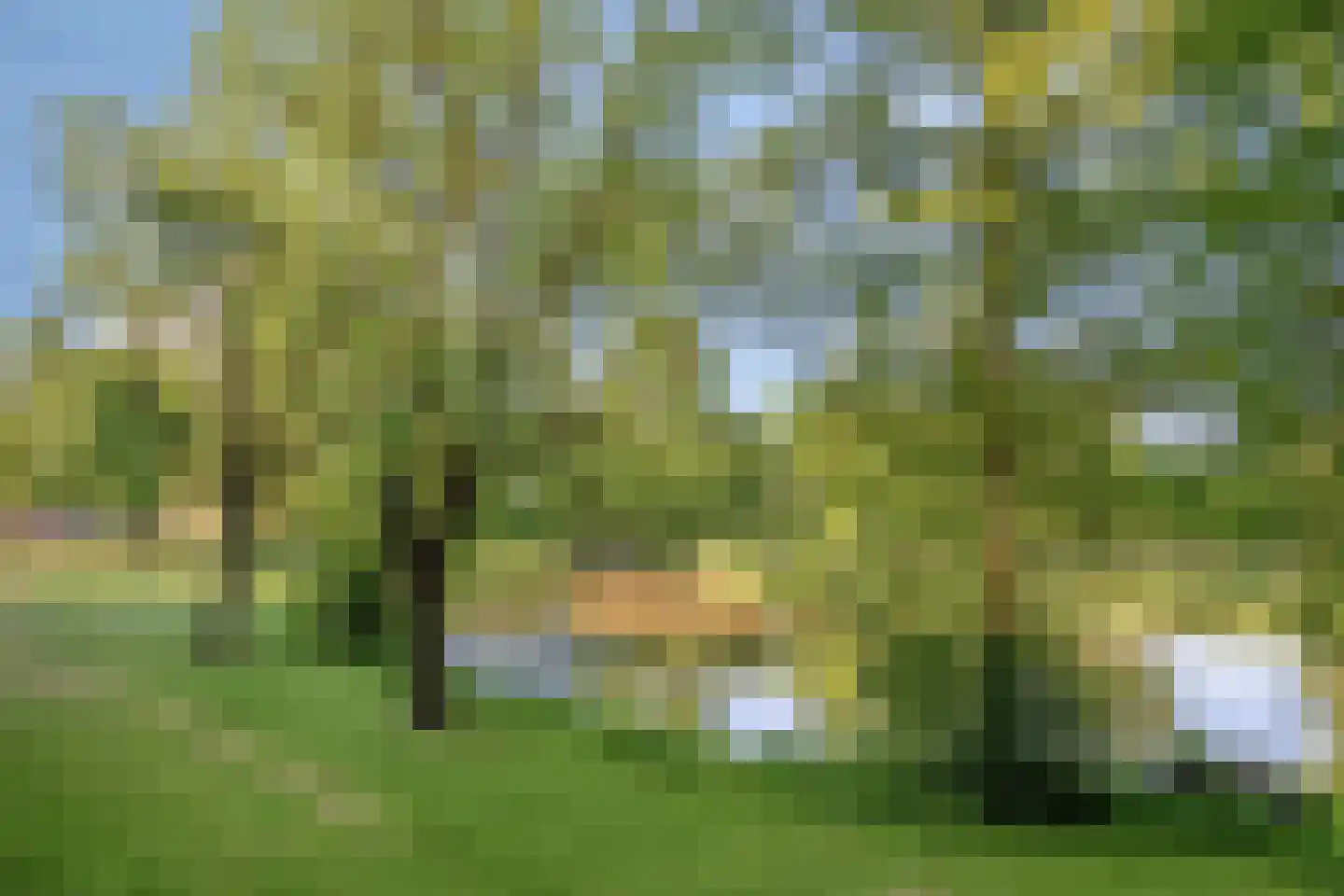 Veenbesstraat 244 Soest thumbnail 39