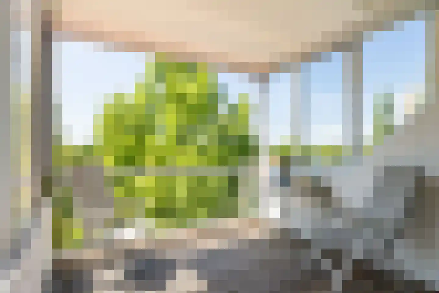 Veenbesstraat 260 Soest thumbnail 4