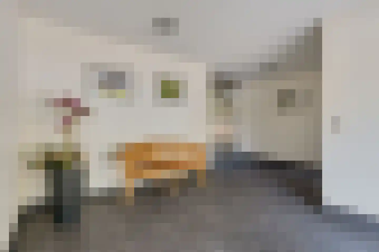 Veenbesstraat 260 Soest thumbnail 9