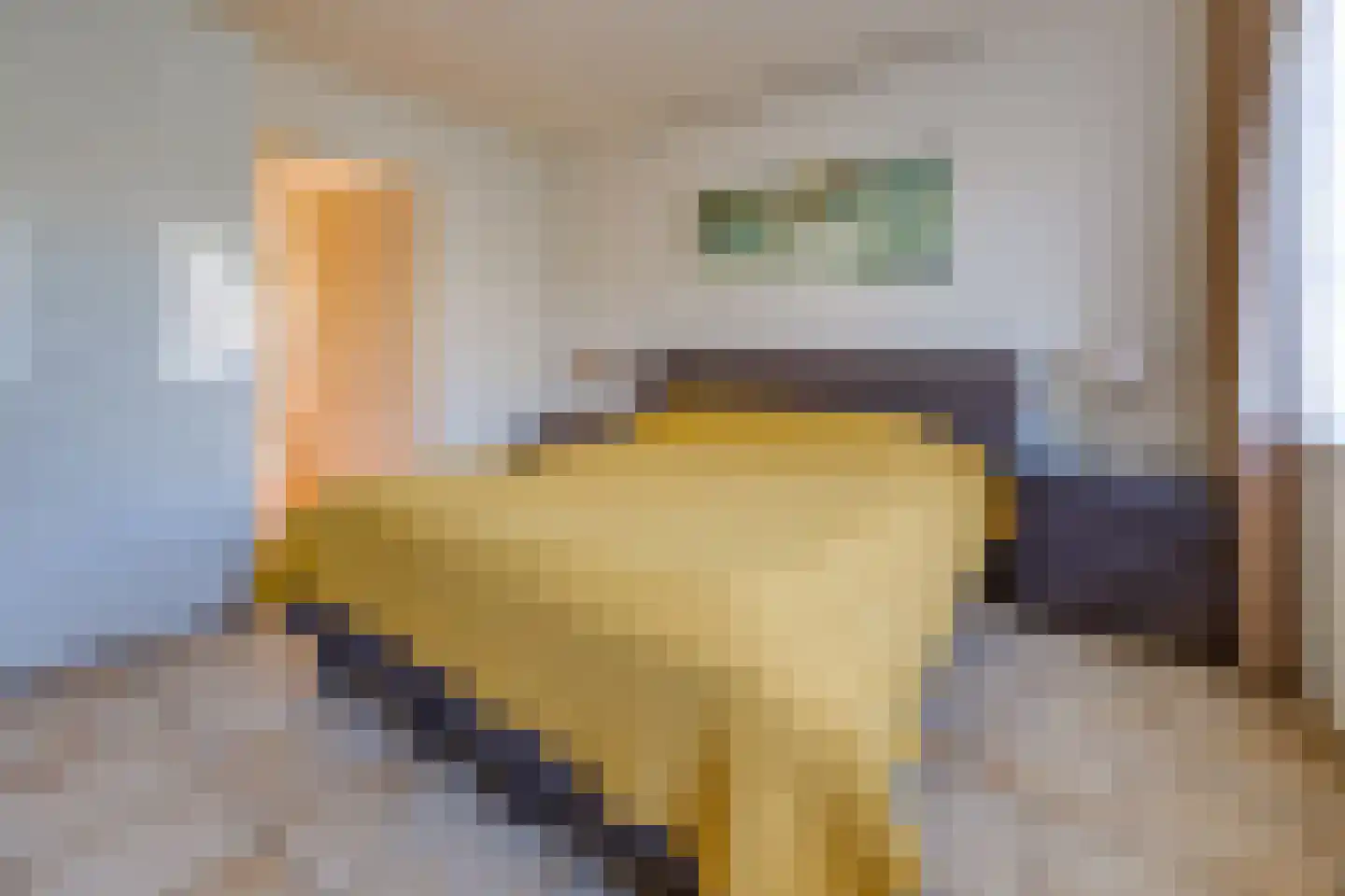 Veenbesstraat 3 Nieuw-Buinen thumbnail 15