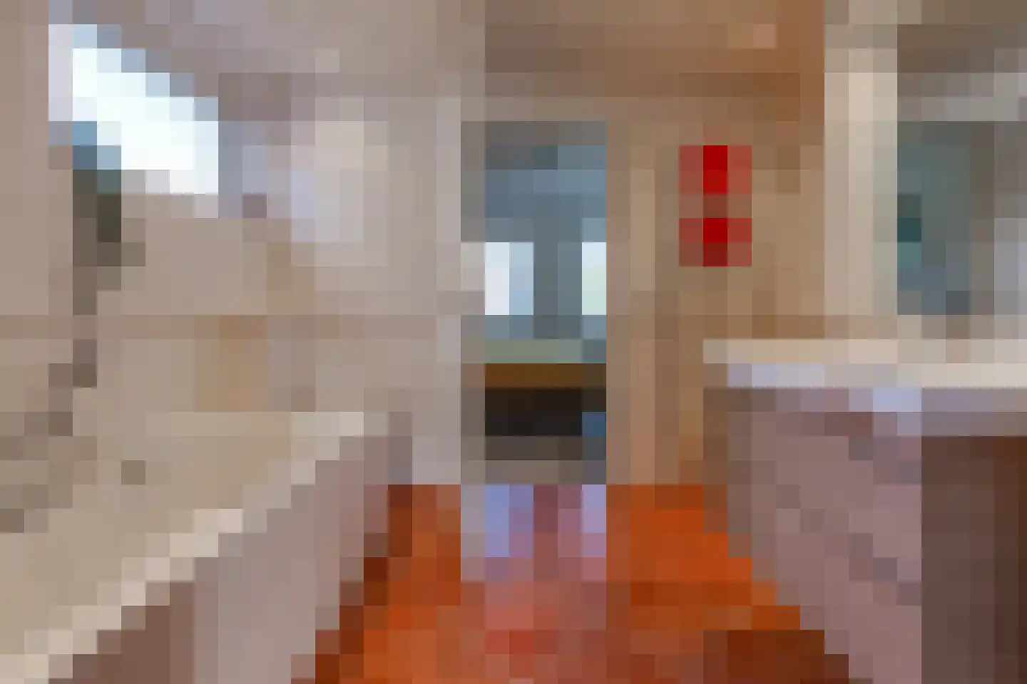 Veenbesstraat 3 Nieuw-Buinen thumbnail 16