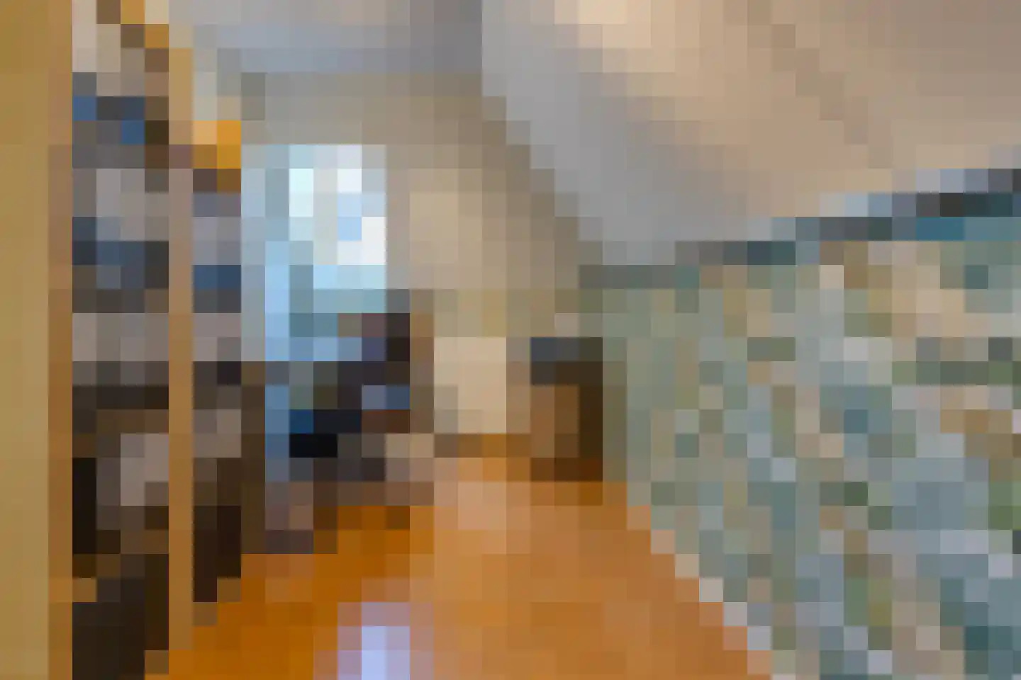 Veenbesstraat 3 Nieuw-Buinen thumbnail 22