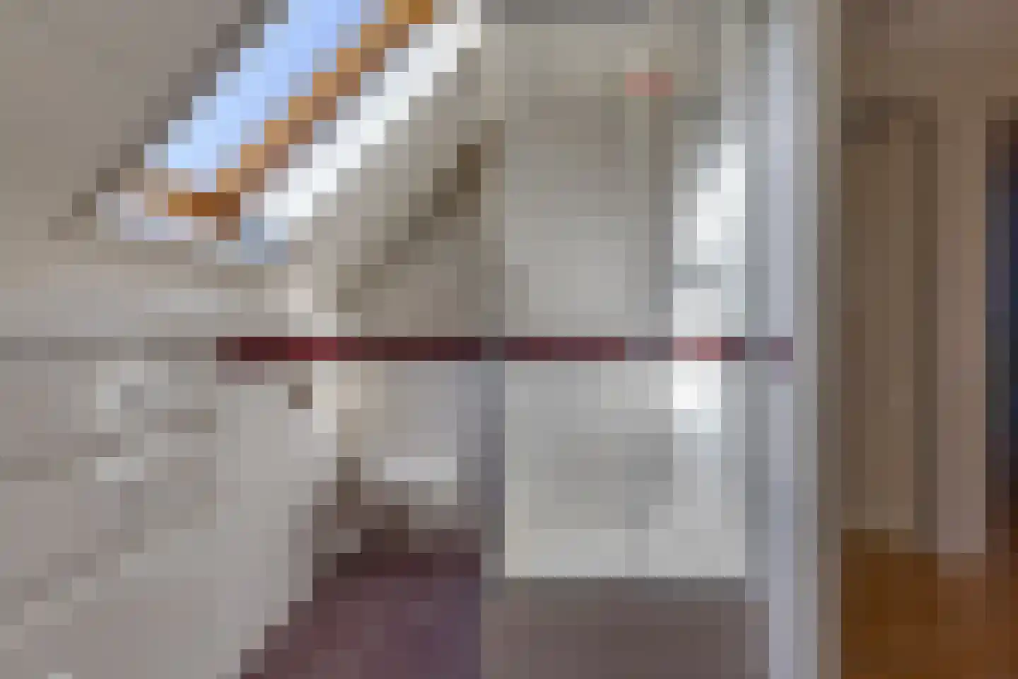 Veenbesstraat 3 Nieuw-Buinen thumbnail 27