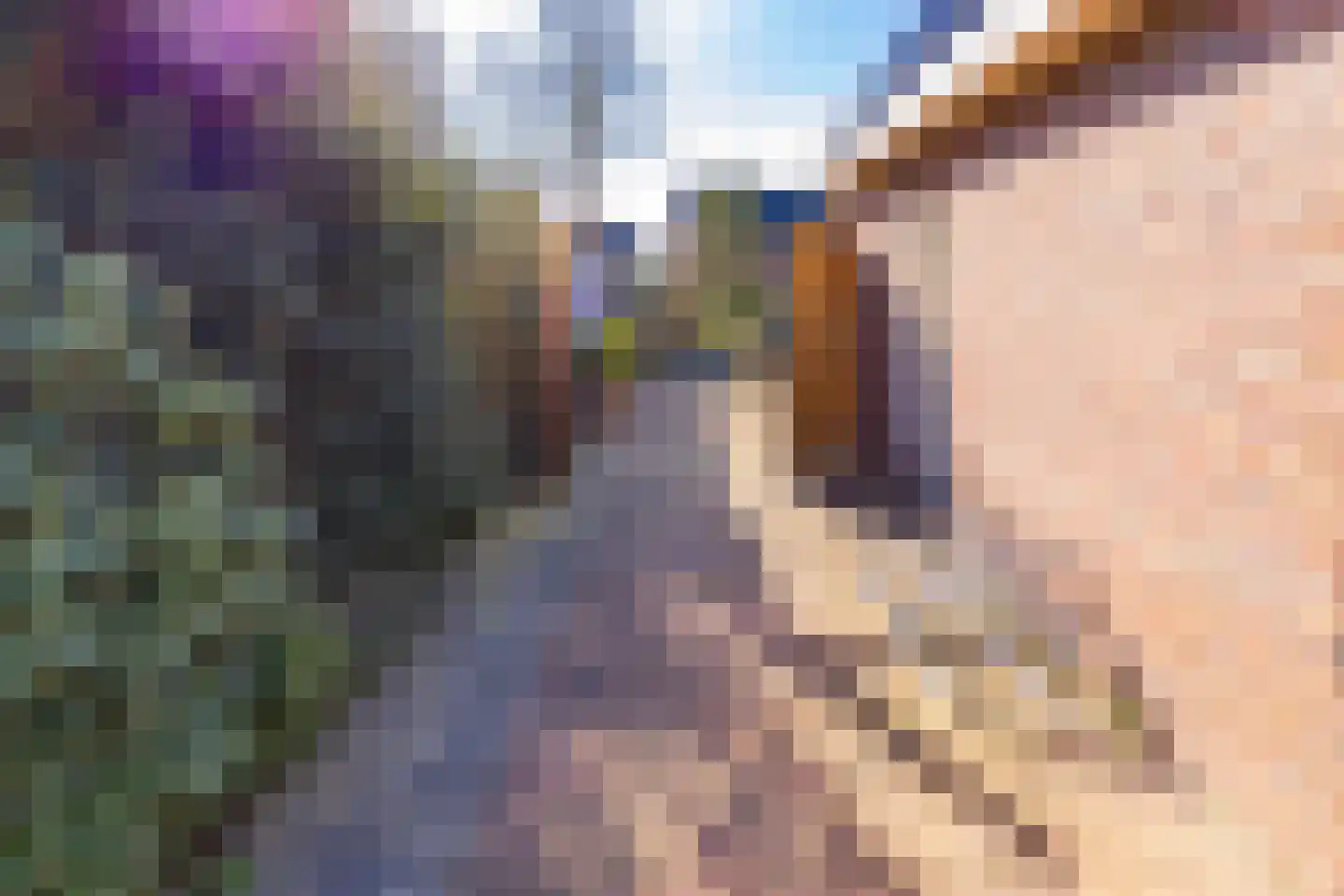 Veenbesstraat 3 Nieuw-Buinen thumbnail 28