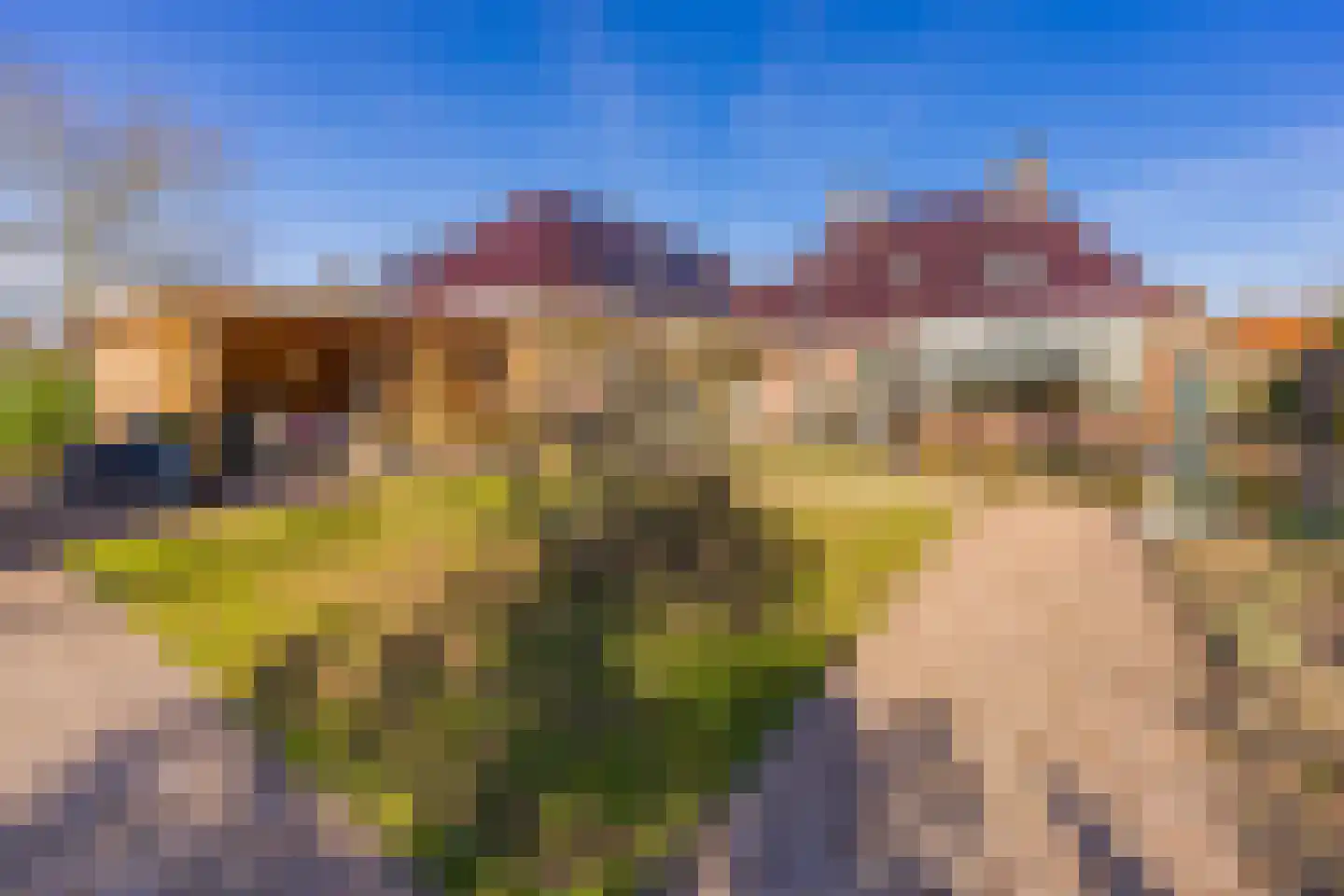 Veenbesstraat 3 Nieuw-Buinen thumbnail 32