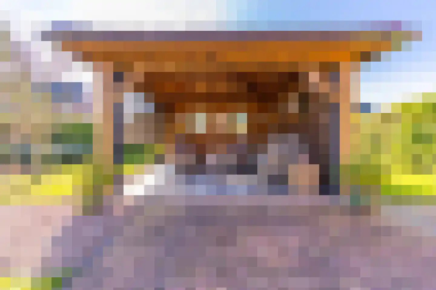 Veenbesstraat 3 Nieuw-Buinen thumbnail 35