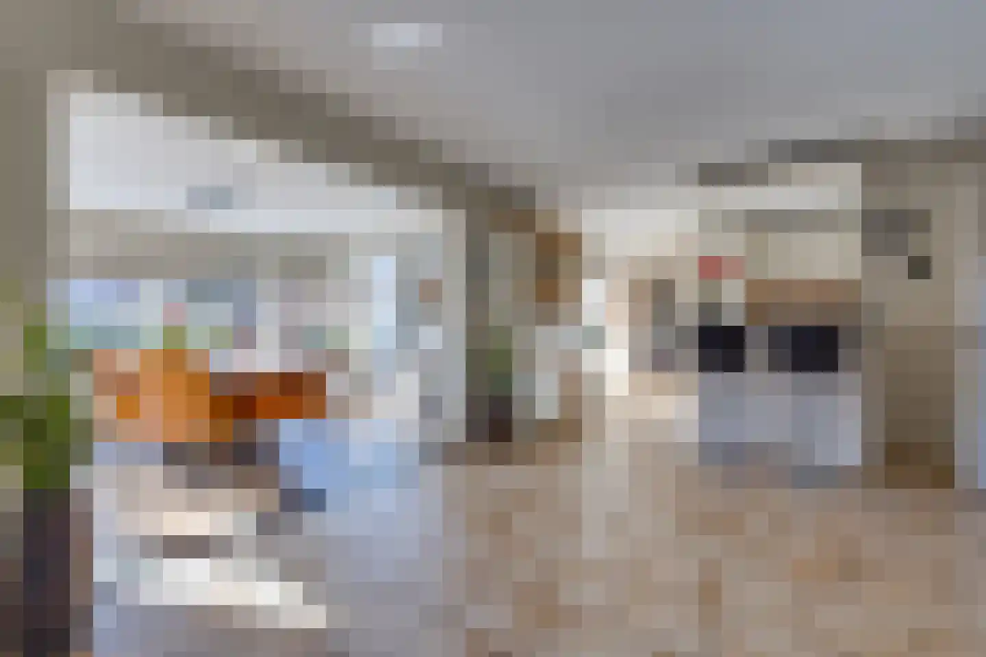 Veenbesstraat 3 Nieuw-Buinen thumbnail 9