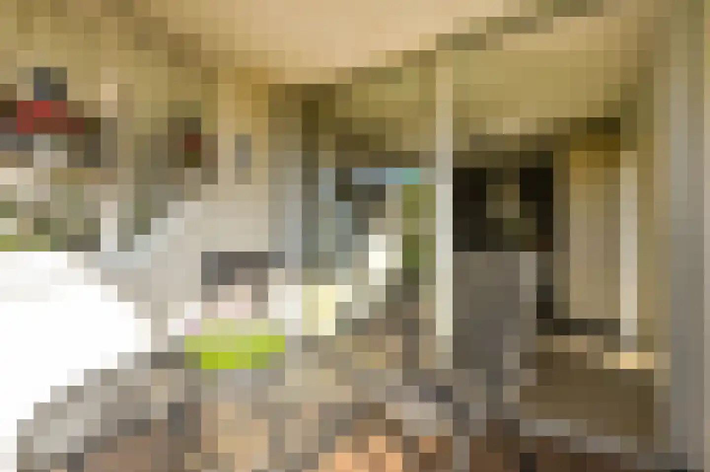 Veenbesstraat 308 Soest thumbnail 17