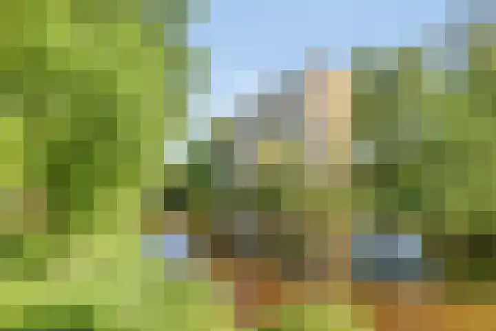 Veenbesstraat 40 Soest thumbnail 30