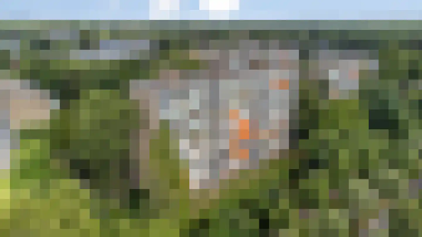 Veenbesstraat 400 Soest thumbnail 25