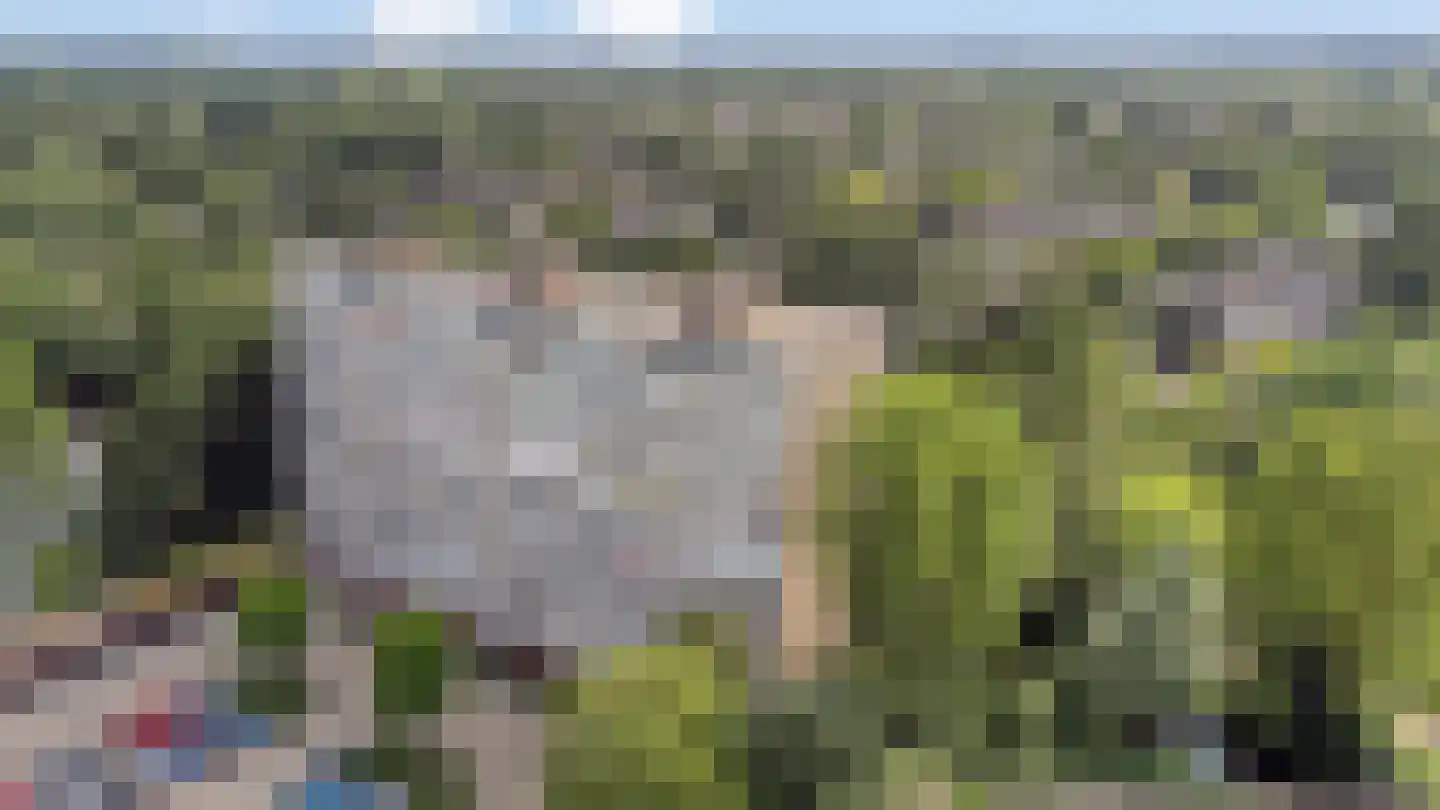 Veenbesstraat 400 Soest thumbnail 27