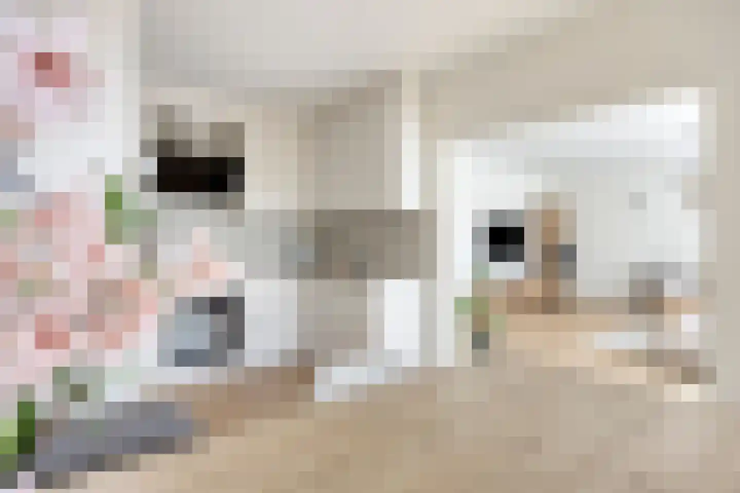 Veenbesstraat 400 Soest thumbnail 8