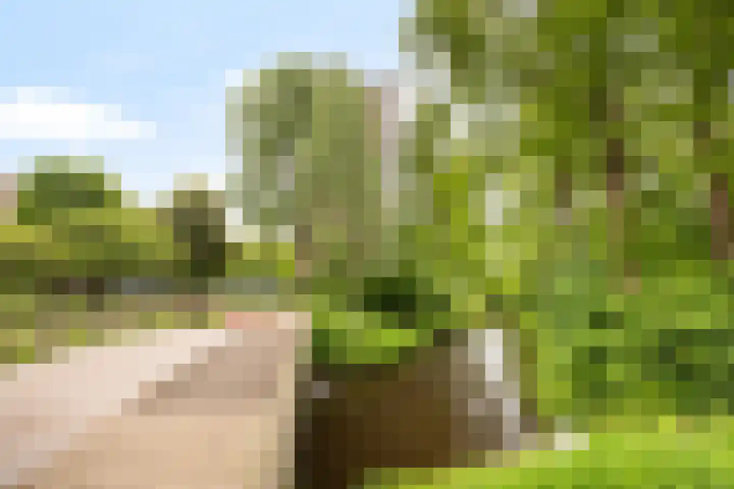 Veenbesstraat 408 Soest thumbnail 19