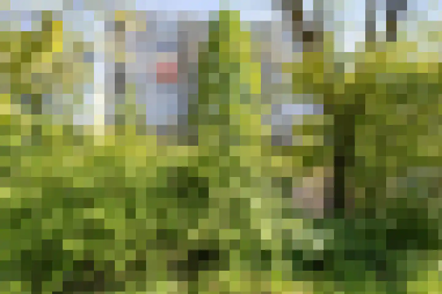 Veenbesstraat 46 Soest thumbnail 6