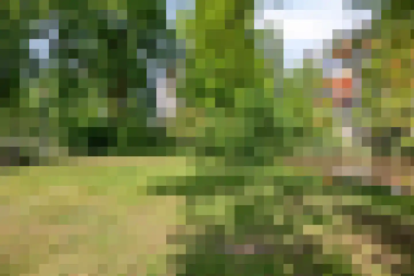 Veenbesstraat 474 Soest thumbnail 34