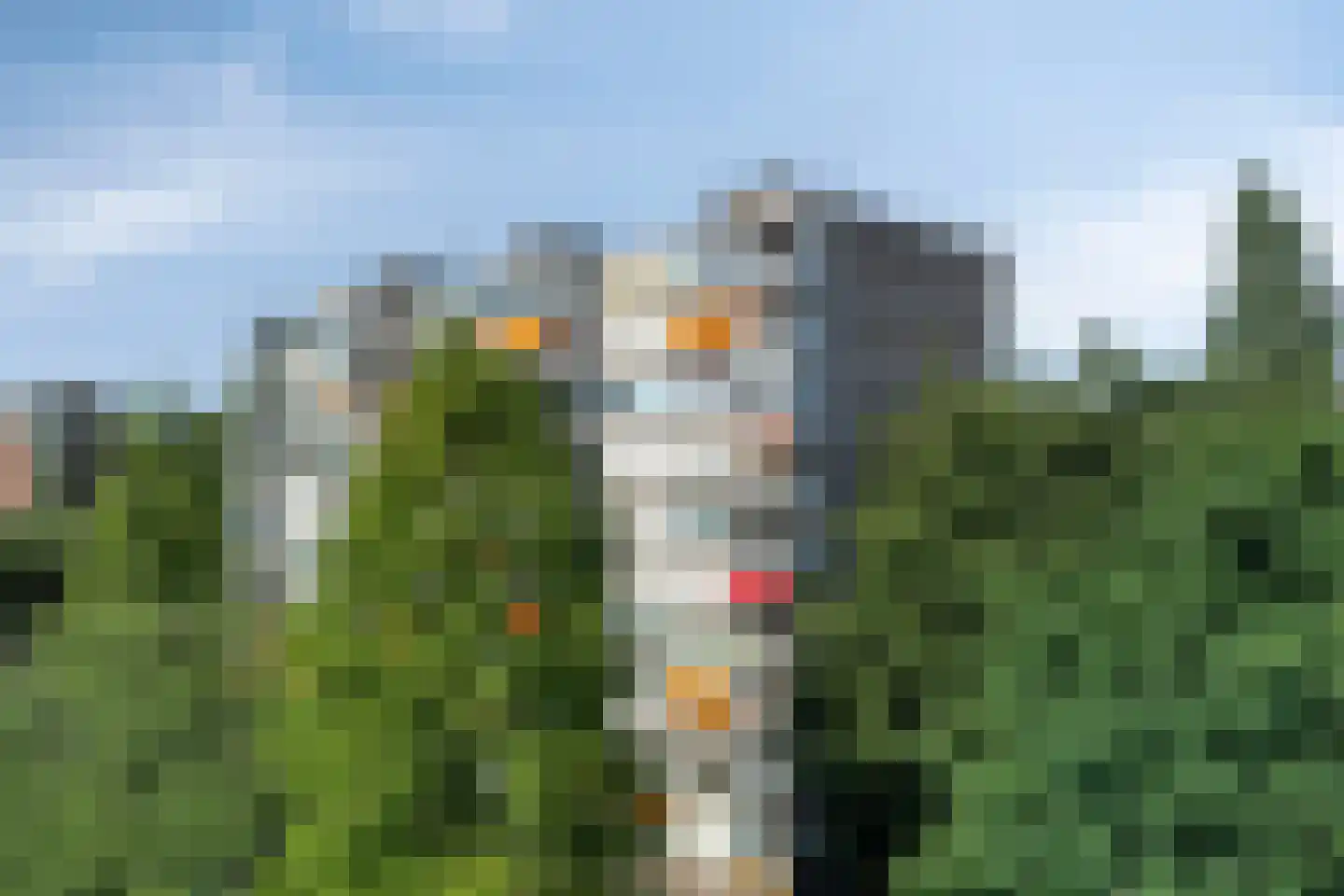 Veenbesstraat 474 Soest thumbnail 40