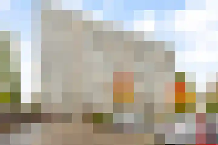 Veenbesstraat 50 Soest thumbnail 6