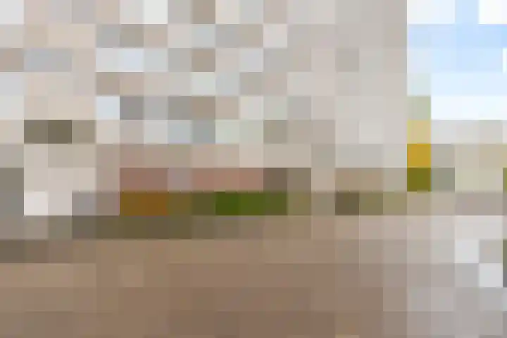 Veenbesstraat 50 Soest thumbnail 7
