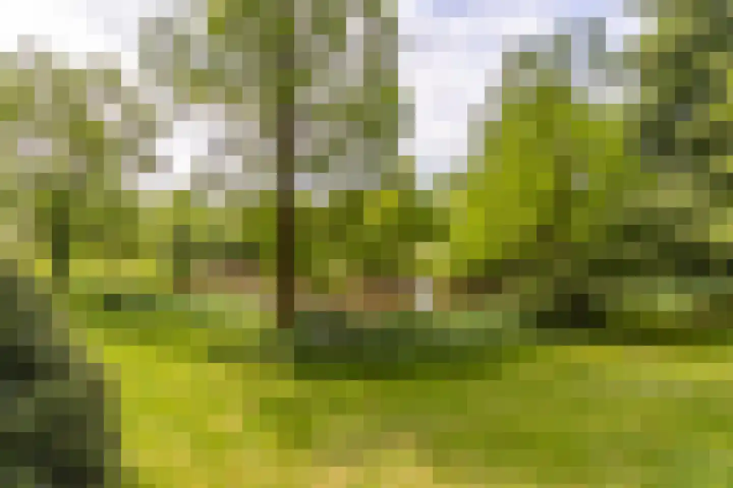 Veenbesstraat 510 Soest thumbnail 21