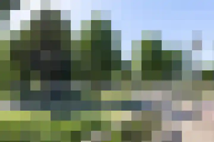 Veenbesstraat 532 Soest thumbnail 33