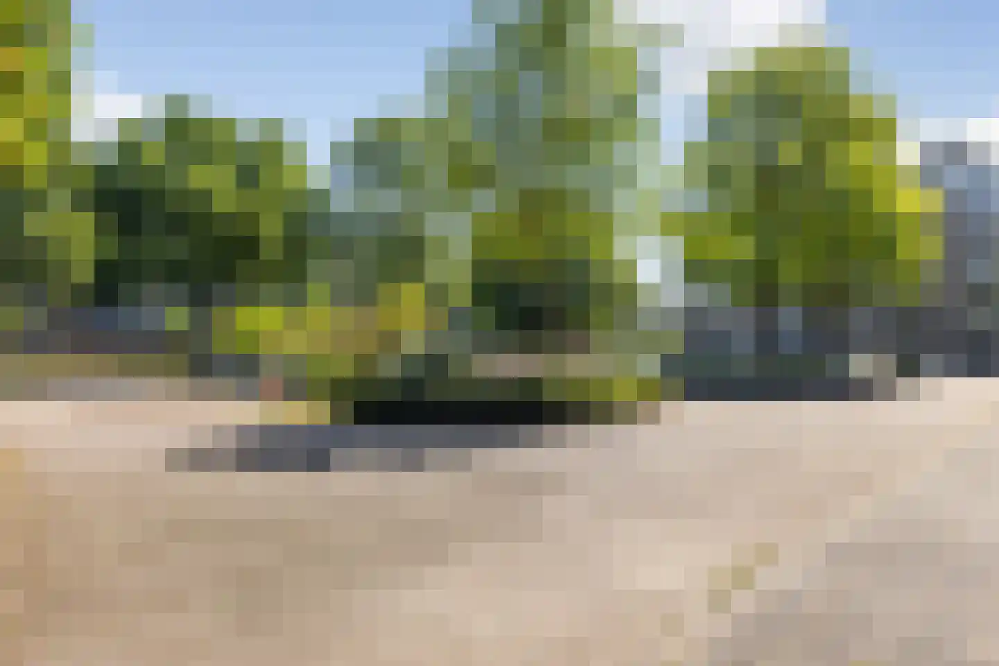 Veenbesstraat 634 Soest thumbnail 31