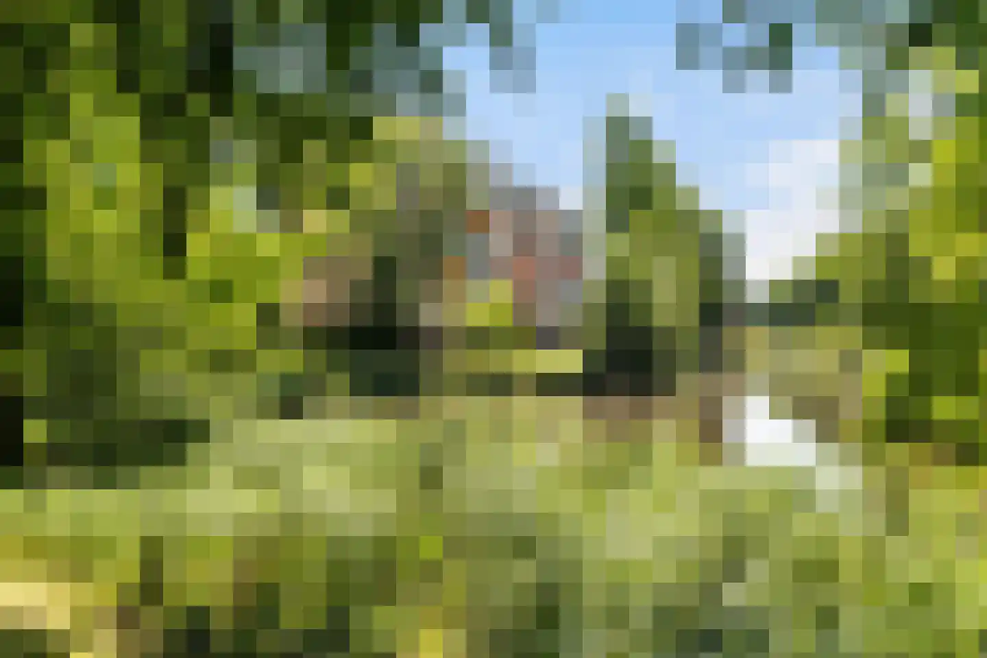 Veenbesstraat 634 Soest thumbnail 33