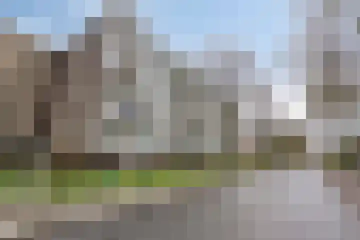 Veenbesstraat 738 Soest thumbnail 24