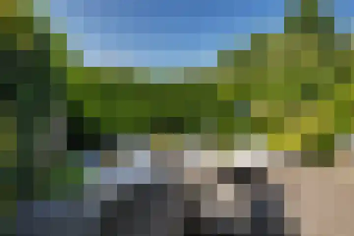 Veenbesstraat 776 Soest thumbnail 26