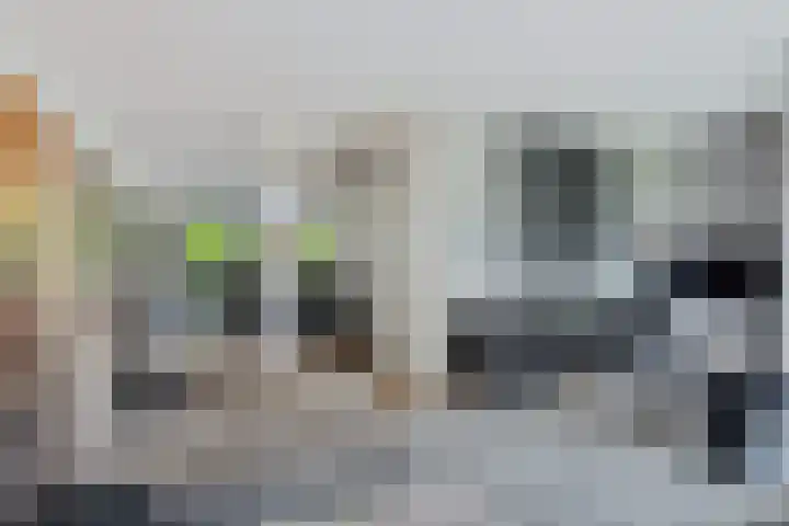Veenbesstraat 776 Soest thumbnail 5