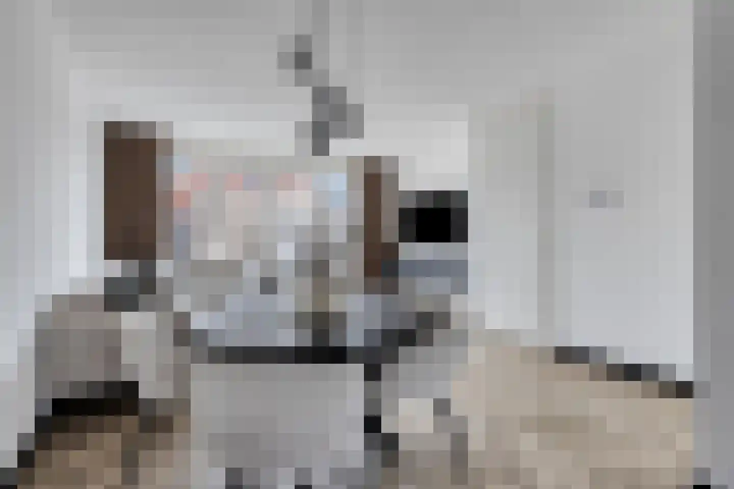 Veenbos 14 Moerstraten thumbnail 12