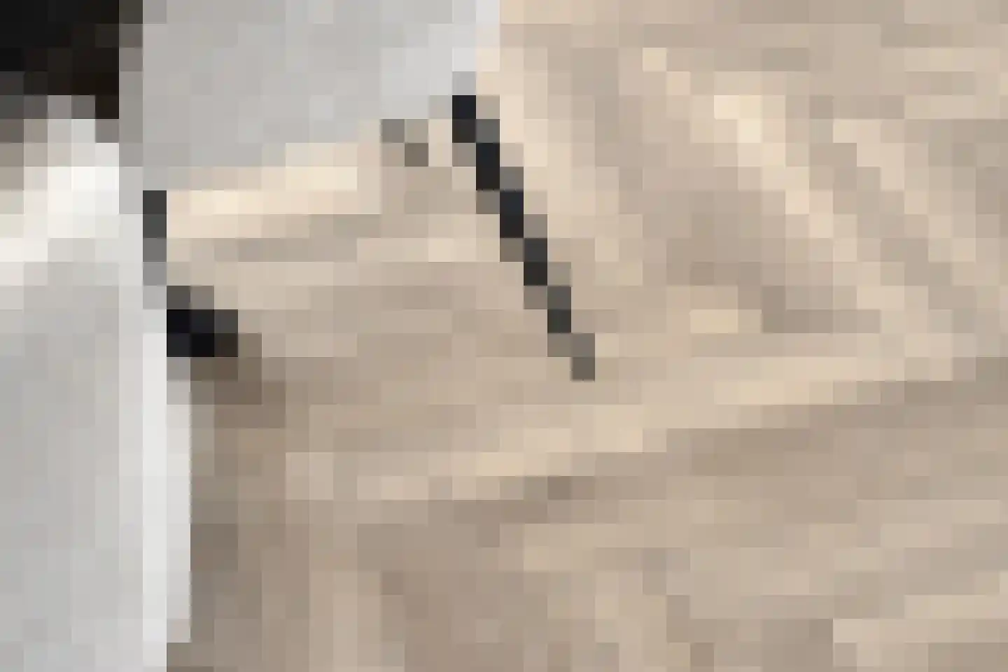 Veenbos 14 Moerstraten thumbnail 15
