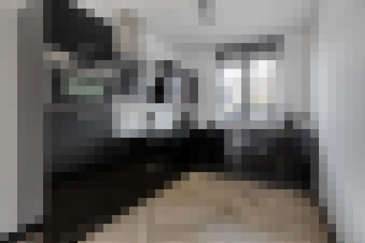 Veenbos 14 Moerstraten thumbnail 17